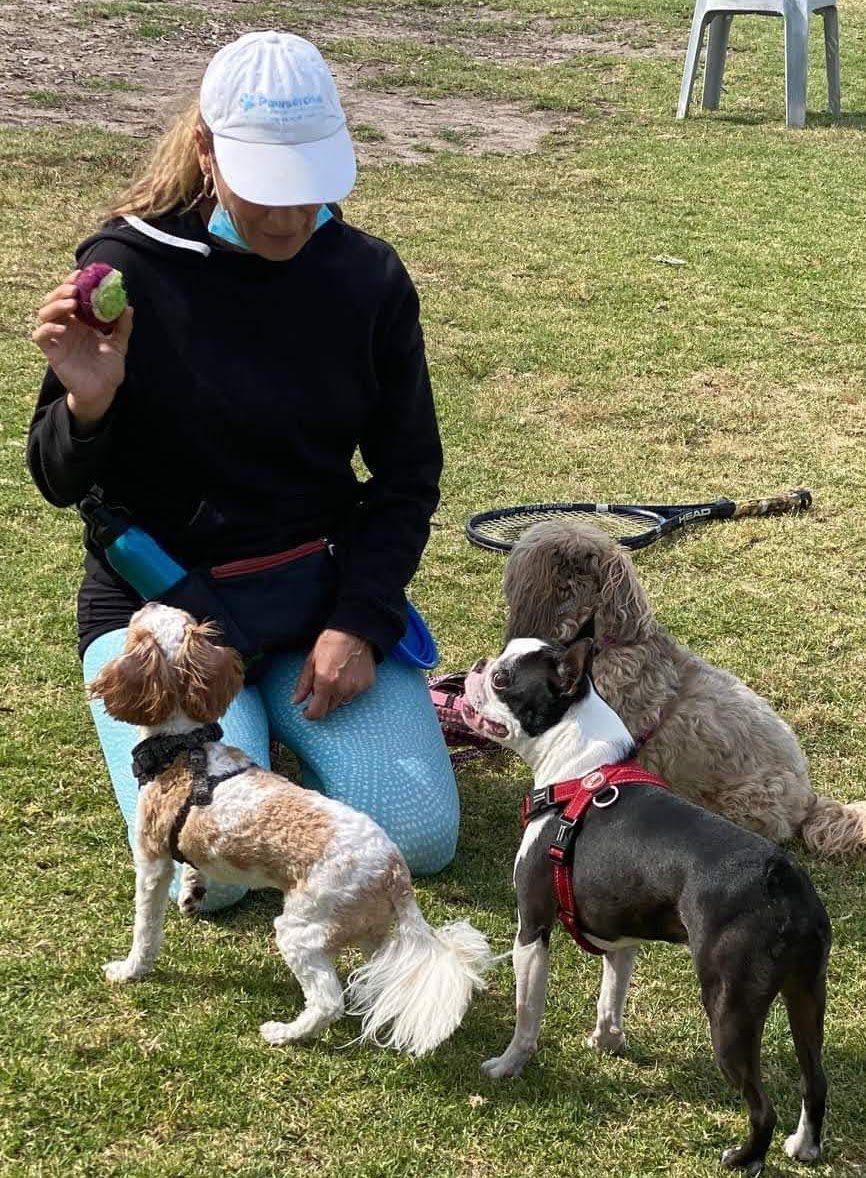 Group Walks