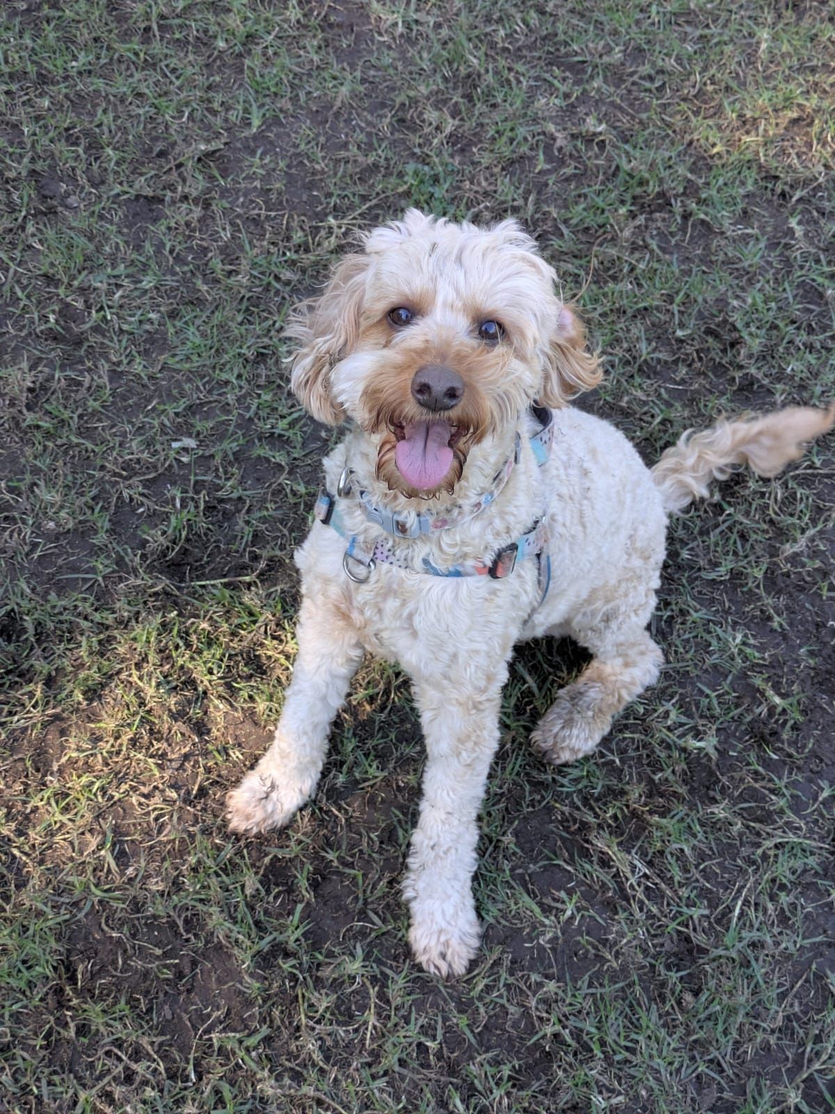 Gallery image